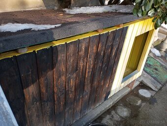 Predám psiu budu - 2