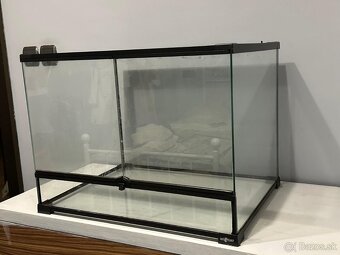Terarium - 2