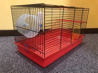 Klietka pre škrečka - 2