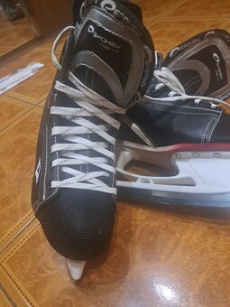 Pánske korčule - 2