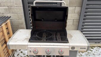 Weber Genesis Ii E-310 - 2