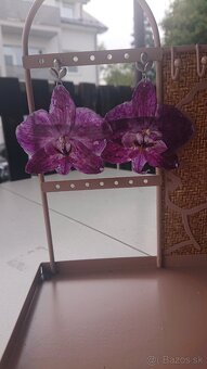 Orchidea náušnice - 2