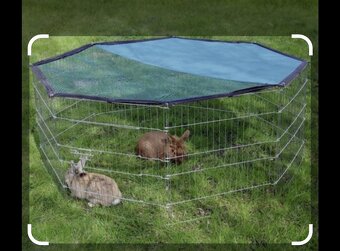 Ohradka pre zajace - 2