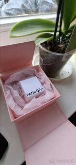 Pandora Náušnice - 2