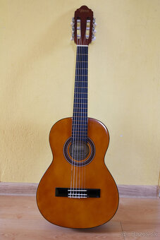 Detská gitara Valencia VC 102 1/2 - 2