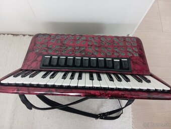 akordeon - 2