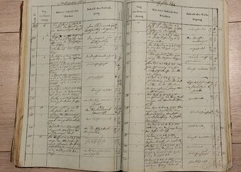 Predám Politisches Einreichungs-Protocoll - 2