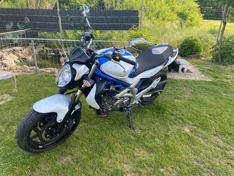 Suzuki SFV Gladius 650 - 2