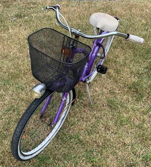 Liberty butterfly cruiser - 2
