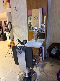 Holiace kreslo s umyvadlom - 2