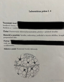 laboratórne práce z biológie - 2