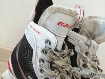 BAUER - 2