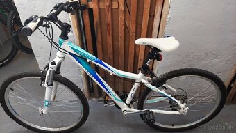 Kellys Vanity 20 - 2