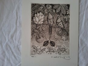 Peter Klucik - 2