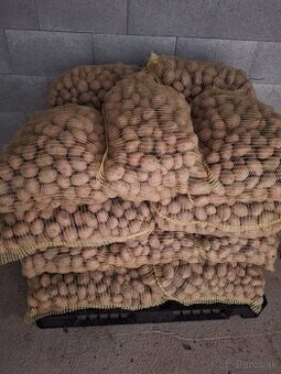 Sadbové zemiaky  Soraya - 2