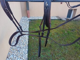 Hnedé kožené poprsne postroje na dva kone - 2