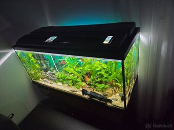Akvarium 180 L - 2