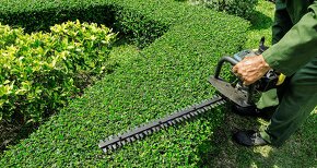 Kosenie trávnika/údržba zelene/strihanie živých plotov - 2