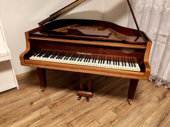 Nepremeškajte Najmenšie klavírne krídlo - 2