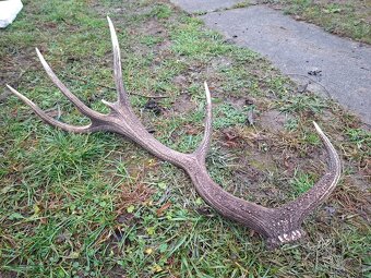 parohy,zhody,parozie,trofeje - 2