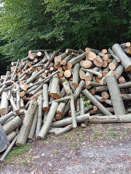 Palivové drevo - 2