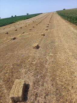 Slama male baliky - 2