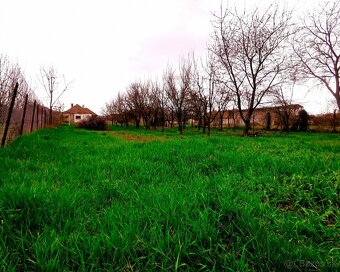 Pozemok na výstavbu RD, 800 m2, MÉRA - Maďarsko - 2