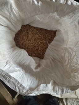 Pšenica, tritikale, - 2