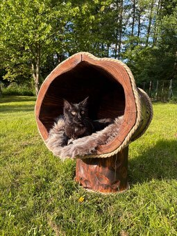 Luxusný Brloh- pelech pre mačky - 2