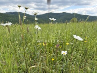 SLNEČNÝ REKREAČNÝ POZEMOK V OBCI HORNÉ SRNIE, 2400M2 - 2
