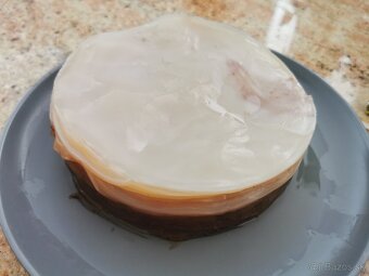 Kombucha - 2