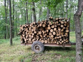 Palivové drevo metrovica dub, buk, cer - 2