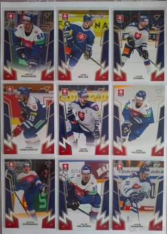 Hokejové Slovensko 2024 - 2