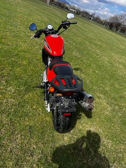 Harley Davidson Sportster XR1200 - 2