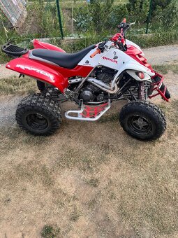 Yamaha Raptor 660 s TP - 2