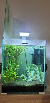 Akvárium 30L - 2