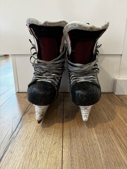 Korčule Bauer Vapor X 600 7D - 2