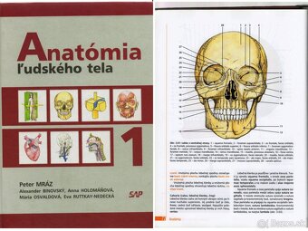 ANATÓMIA - knihy v PDF - 2