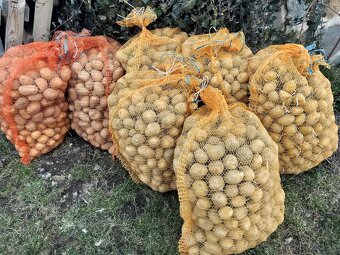 Sadbové zemiaky - 2