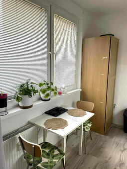 TOP ZREKONŠTRUOVANÝ 1I BYT NA HOMOLOVEJ NA PREDAJ - 2