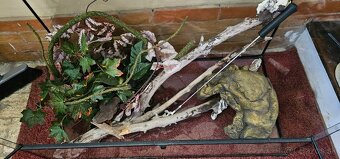 RP terarium 90 x 45 x 90 - 2