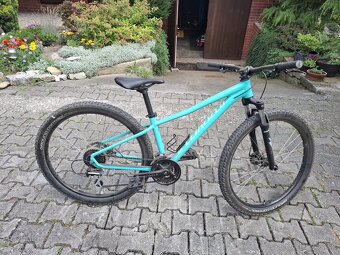 Specialized pitch - 2