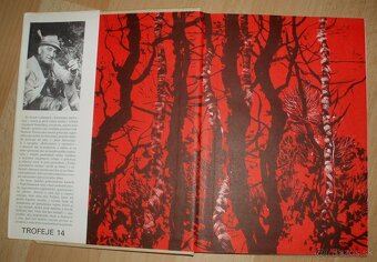 Trofej neznámeho strelca - 2