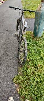 Specialized - 2