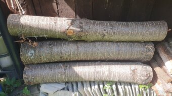 višňové drevo - 2