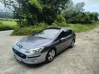 Peugeot 407 SW - 2