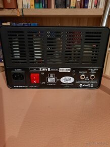 Hayden Lil" Mofo 2 Watt - 2