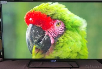 Predám 4KUHD Android SMART TV Philips 50PUH6400 (125cm) - 2