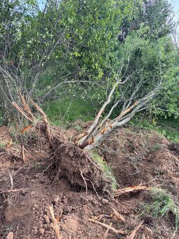 Práca s minibagrom - 2