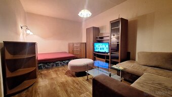 Veľký 1 izbový byt na Záhonku - 2